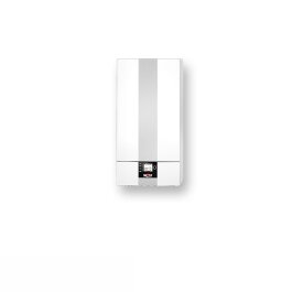 Wolf Gas-Brennwert-Heiztherme CGB-2-20 Systempaket inkl. Hocheffizienspumpe Ohne Regelung Ohne Anschlüsse Ohne Speicher Ohne Abgassystem