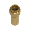Tectite Plug Fitting Reducing Nipple 22mm x 12mm inside/outside