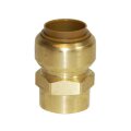 Tectite Plug Fitting Transition Sleeve 22mm x 1/2"